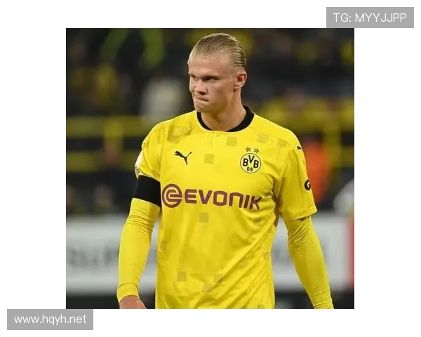 哈兰德数据含金量：高产背后的效率与体系依赖